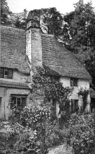 William Robinson (gardener)